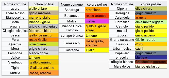 Polline d’api disidratato a freddo